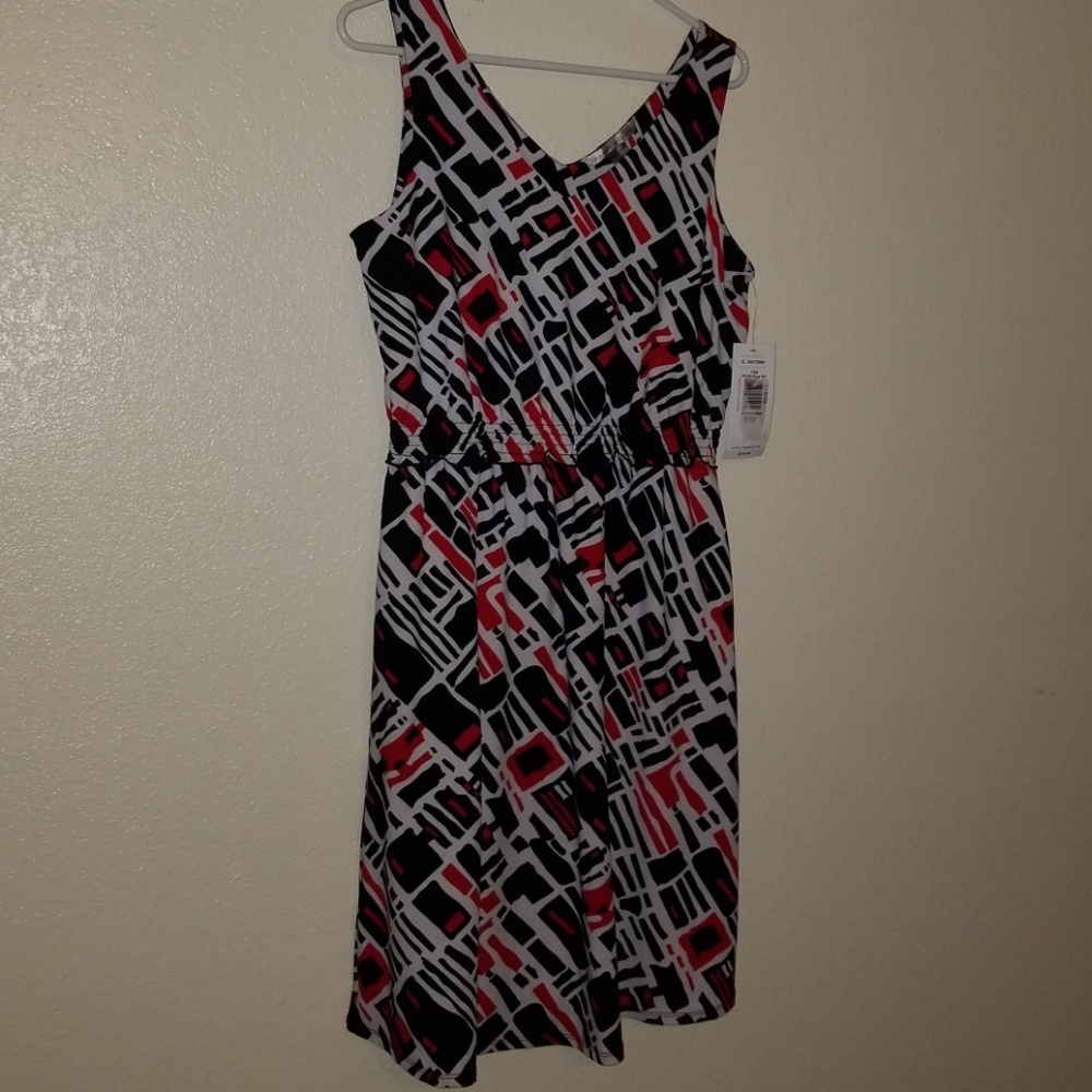Color Block Dress by Peter Nygard